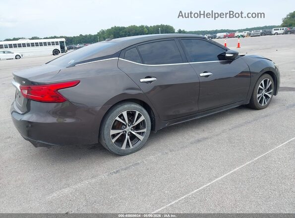 1N4AA6AP1GC445779 2016 NISSAN MAXIMA Gray Rear right