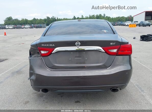 1N4AA6AP1GC445779 2016 NISSAN MAXIMA Gray 