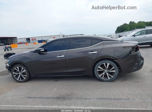 1N4AA6AP1GC445779 2016 NISSAN MAXIMA Gray 360 interior view