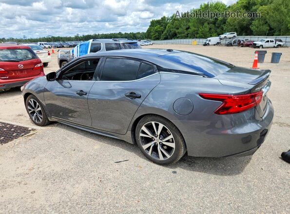 1N4AA6AP1HC388260 2017 NISSAN MAXIMA Gray Задня ліва чверть