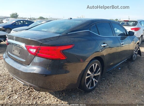1N4AA6AP2GC390100 2016 NISSAN MAXIMA Black Հետևի աջ