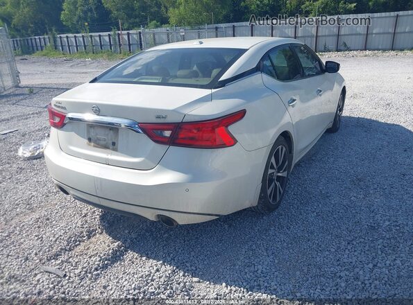 1N4AA6AP2GC391117 2016 NISSAN MAXIMA White Задня права чверть