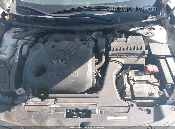 1N4AA6AP2GC391117 2016 NISSAN MAXIMA White Вид ззаду