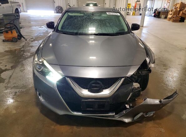 1N4AA6AP2GC422270 2016 NISSAN MAXIMA Gray Widok z przodu