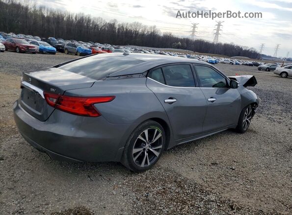 1N4AA6AP2GC440414 2016 NISSAN MAXIMA Gray Задня права чверть