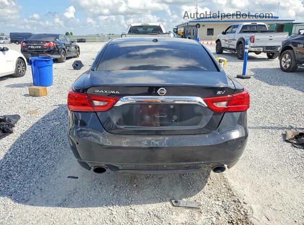1N4AA6AP2GC443412 2016 NISSAN MAXIMA Black Vista trasera