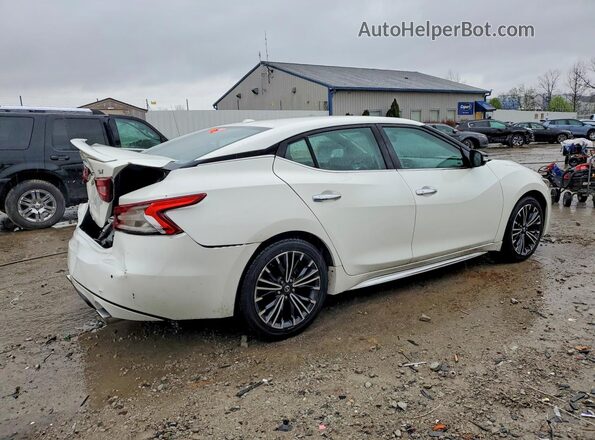1N4AA6AP2HC429902 2017 NISSAN MAXIMA White Tył prawy