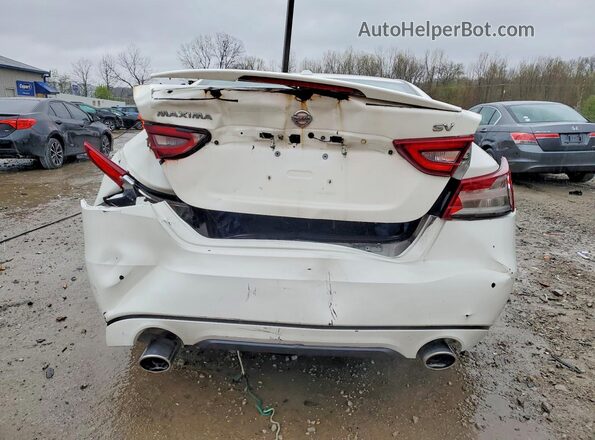 1N4AA6AP2HC429902 2017 NISSAN MAXIMA White Widok z tyłu