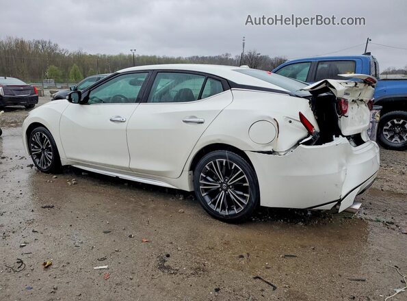 1N4AA6AP2HC429902 2017 NISSAN MAXIMA White Tył lewy