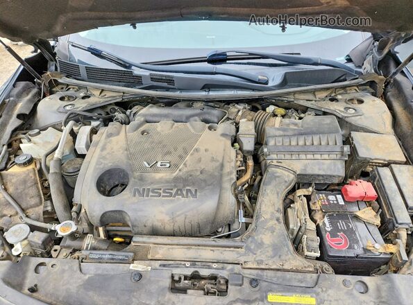 1N4AA6AP2HC439779 2017 NISSAN MAXIMA Gray უკანა სალონის ხედი