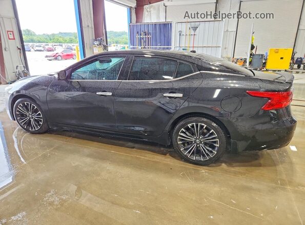 1N4AA6AP3GC419104 2016 NISSAN MAXIMA Black უკანა მარცხენა