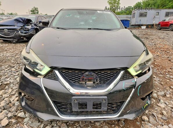1N4AA6AP3HC363909 2017 NISSAN MAXIMA Black Vista frontal
