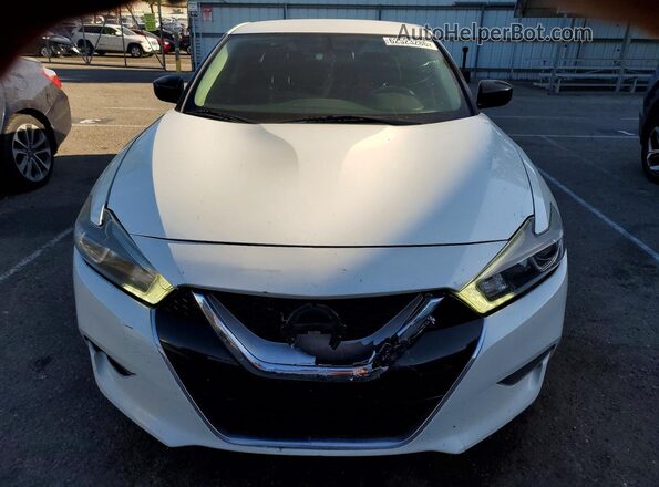 1N4AA6AP3HC439452 2017 NISSAN MAXIMA White Front view