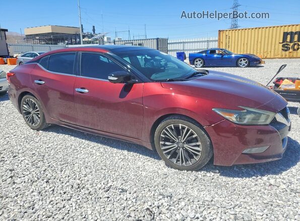 1N4AA6AP4GC417295 2016 NISSAN MAXIMA Burgundy Przód prawy