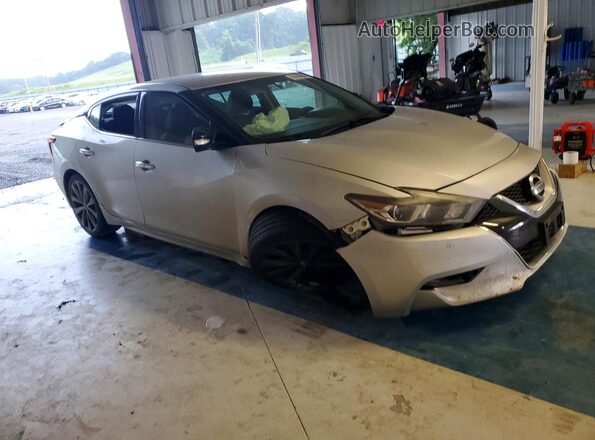 1N4AA6AP4HC397700 2017 NISSAN MAXIMA Silver Առջևի աջ