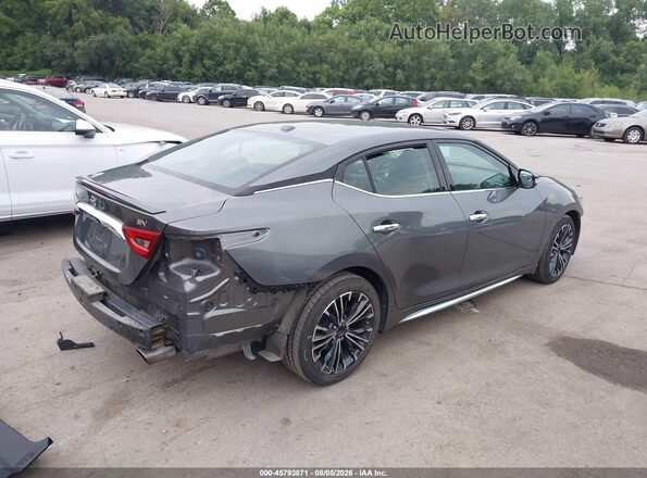 1N4AA6AP4HC439475 2017 NISSAN MAXIMA Gray Հետևի աջ