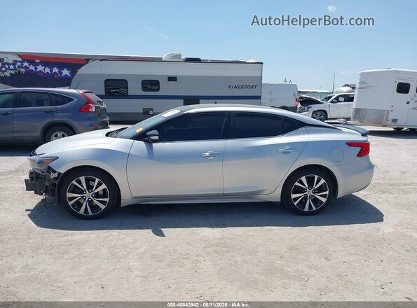 1N4AA6AP5GC392343 2016 NISSAN MAXIMA Silver Սալոնի 360 աստիճան տեսք