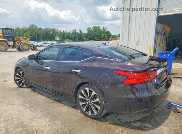 1N4AA6AP5GC400859 2016 NISSAN MAXIMA Burgundy Rear left