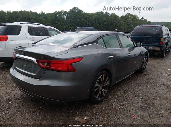 1N4AA6AP5GC422800 2016 NISSAN MAXIMA Gray Հետևի աջ