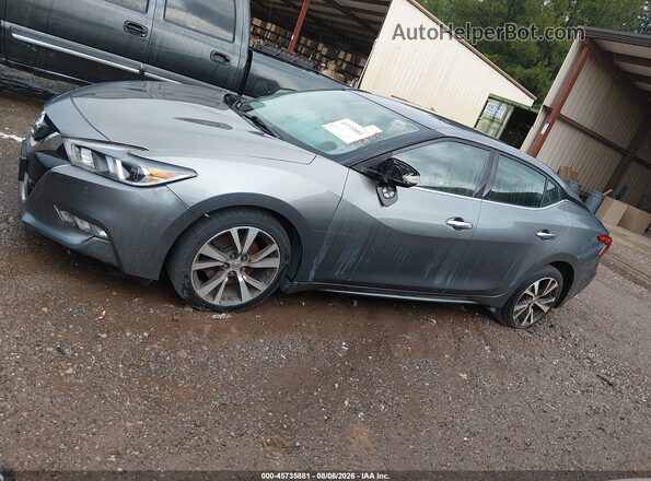 1N4AA6AP5GC422800 2016 NISSAN MAXIMA Gray Սալոնի 360 աստիճան տեսք