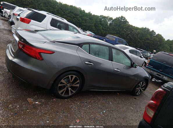 1N4AA6AP5GC422800 2016 NISSAN MAXIMA Gray Սալոնի հետևի տեսք