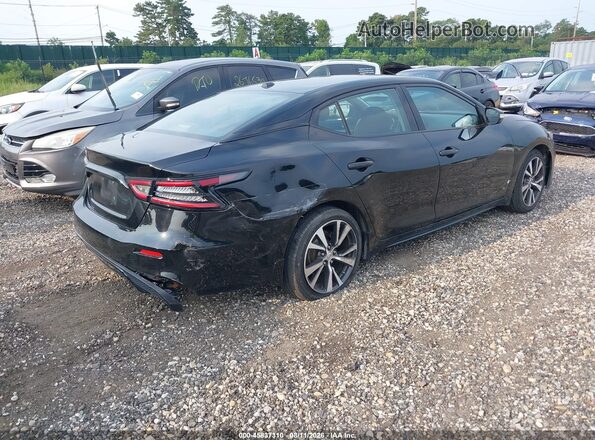 1N4AA6AP5HC376032 2017 NISSAN MAXIMA  Задняя правая четверть