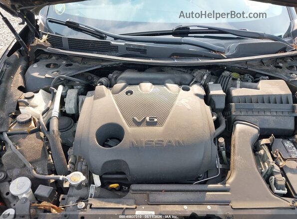 1N4AA6AP5HC376032 2017 NISSAN MAXIMA  Вид сзади