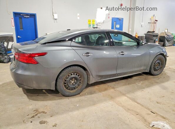 1N4AA6AP5HC413404 2017 NISSAN MAXIMA Gray უკანა მარჯვენა
