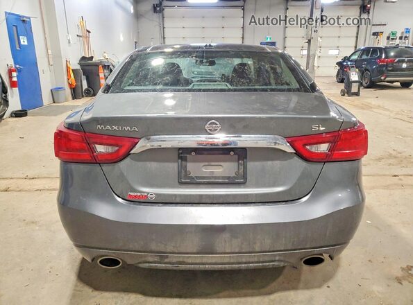 1N4AA6AP5HC413404 2017 NISSAN MAXIMA Gray უკანა ხედი