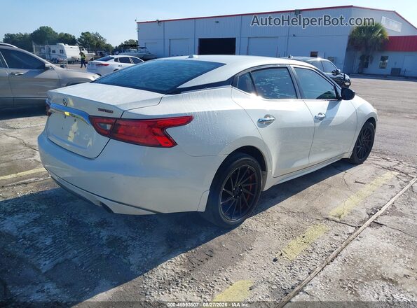 1N4AA6AP5HC444040 2017 NISSAN MAXIMA White Rear right