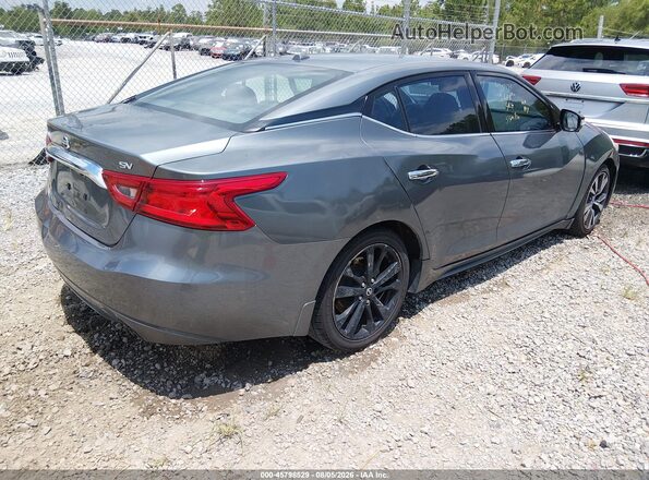 1N4AA6AP6GC420425 2016 NISSAN MAXIMA Gray უკანა მარჯვენა