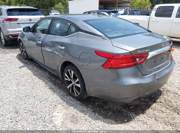 1N4AA6AP6GC420425 2016 NISSAN MAXIMA Gray უკანა მარცხენა