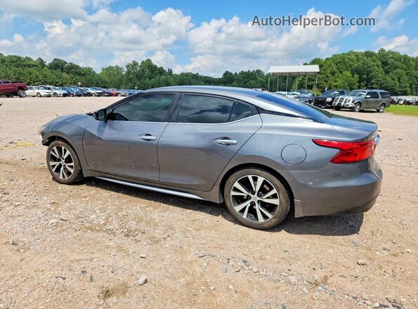 1N4AA6AP6HC414822 2017 NISSAN MAXIMA Gray უკანა მარცხენა