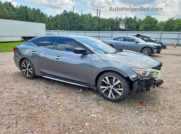 1N4AA6AP6HC414822 2017 NISSAN MAXIMA Gray წინა მარჯვენა