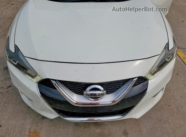 1N4AA6AP6HC440756 2017 NISSAN MAXIMA White Rear interior view