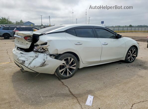 1N4AA6AP6HC440756 2017 NISSAN MAXIMA White Rear right