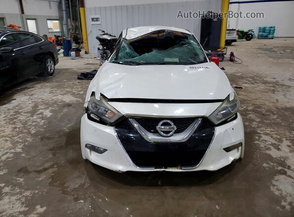1N4AA6AP7GC443924 2016 NISSAN MAXIMA White Widok z przodu