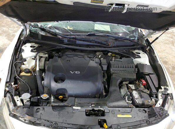 1N4AA6AP7GC443924 2016 NISSAN MAXIMA White Widok wnętrza z tyłu