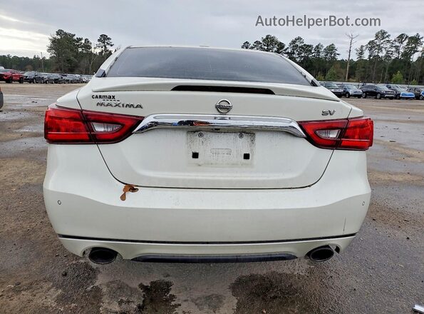 1N4AA6AP7GC900411 2016 NISSAN MAXIMA White Вид ззаду