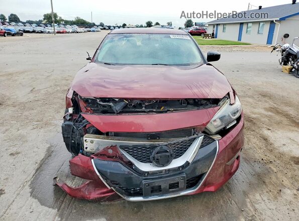 1N4AA6AP7HC369728 2017 NISSAN MAXIMA Темно-бордовый Вид спереди