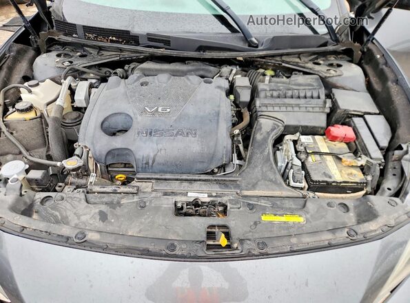 1N4AA6AP7HC376064 2017 NISSAN MAXIMA Gray Սալոնի հետևի տեսք