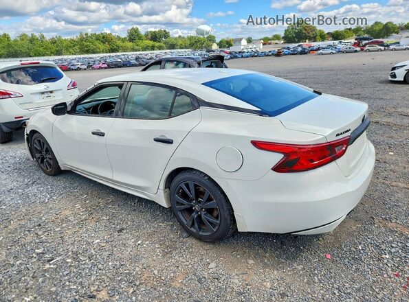 1N4AA6AP7HC423920 2017 NISSAN MAXIMA White Trasero izquierdo
