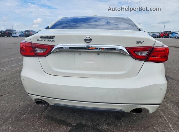 1N4AA6AP7HC455363 2017 NISSAN MAXIMA White Հետևի տեսք
