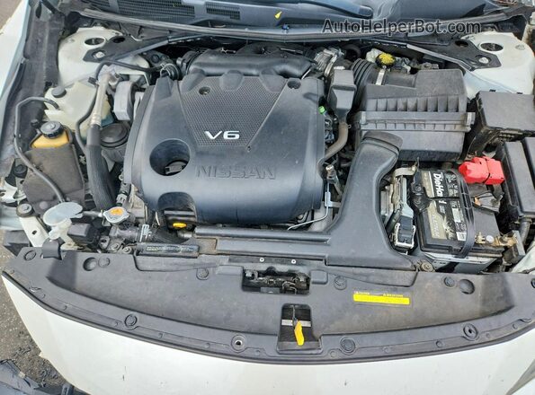 1N4AA6AP7HC455363 2017 NISSAN MAXIMA White Սալոնի հետևի տեսք