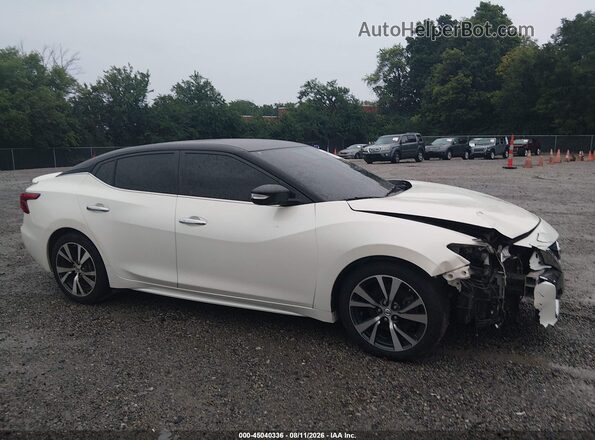 1N4AA6AP8HC363159 2017 NISSAN MAXIMA White Вид задньої частини салону