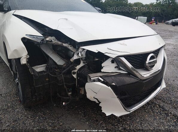 1N4AA6AP8HC363159 2017 NISSAN MAXIMA White 