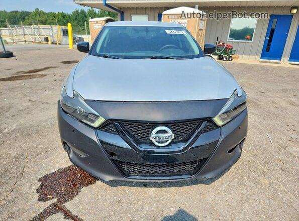 1N4AA6AP8HC449085 2017 NISSAN MAXIMA Silver Դիմացի տեսք