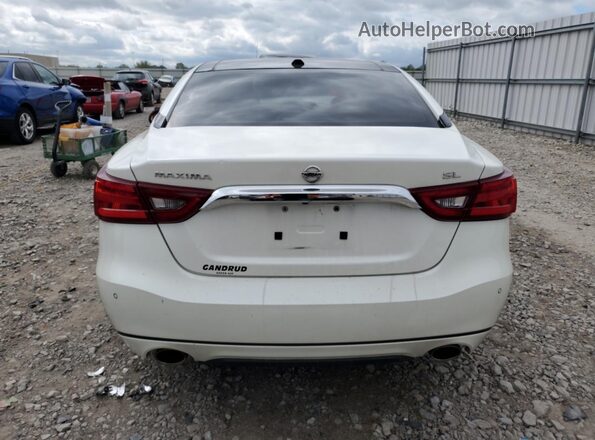 1N4AA6AP9GC404008 2016 NISSAN MAXIMA White Հետևի տեսք