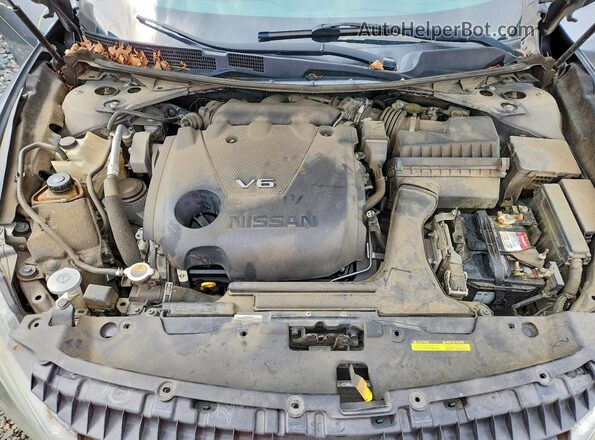 1N4AA6AP9GC410567 2016 NISSAN MAXIMA Gray Vista interior trasera