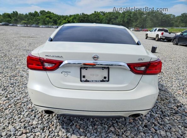 1N4AA6AP9HC378026 2017 NISSAN MAXIMA White Հետևի տեսք